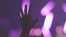 hand raised during a concert 