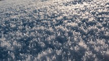 Background of snow hoarfrost rime in morning sun light in cold winter season
