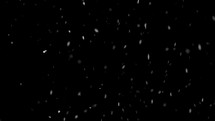 Snow snowing in black background
