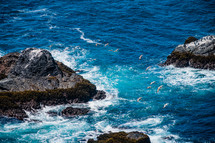 birds in flight over a rocks in the ocean