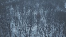 aerial view over a winter forest with snow 