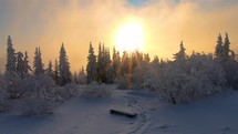 Sunset over snowy forest trees in frozen winter landscape.
