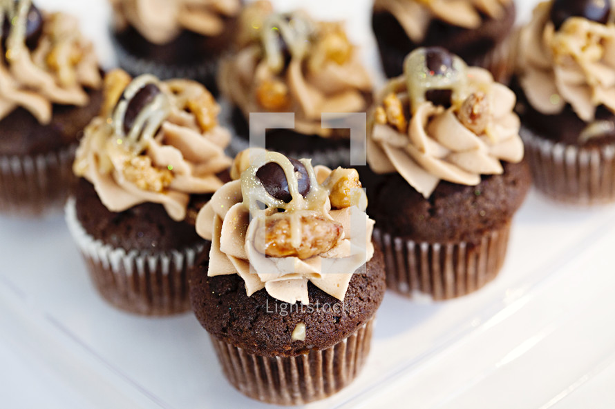 Tray of chocolate cupcakes with maple frosting and nuts on top.