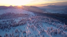 Morning sunrise in winter alps mountains landscape with frozen snowy forest Aerial view of beautiful Nature
