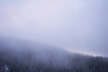 fog over a mountain top forest 