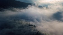 Beautiful morning fly above foggy forest nature with misty clouds motion in trees 4K Aerial view 
