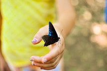 a butterfly landing on a woman's hand