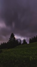 Fast clouds and milky way galaxy stars moving over forest in dark night sky, Verical time lapse
