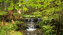 Mountain stream cascade in green forest peaceful nature background
