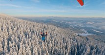 Paragliding freedom flight above winter forest nature, adrenaline adventure

