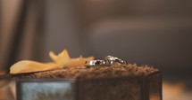 fall leaves and wedding bands 