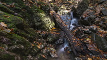 Time lapse dolly shot of a forest creek with leaves in autumn 