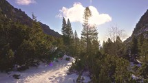 Beautiful sunny morning in winter forest in alpine mountains nature
