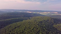 Aerial view of forest valley in summer evening landscape
