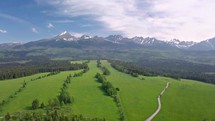 Aerial view of fresh green nature in alps mountains in sunny spring landscape
