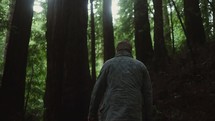 a man walking on a forest trail 