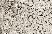 cracked parched earth