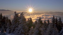 Peaceful Winter morning at sunrise in cold snowy forest alpine mountains
