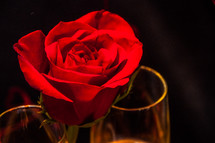 A red rose and wine glasses.