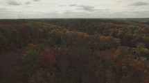 aerial view of a drone flying over trees in a fall forest 