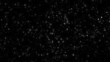 Slow motion of real snow falling isolated on black background, it is snowing in cold winter, Screen, Overlay, Alpha, Lighten