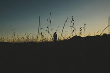 silhouette of a distant couple kissing in a field