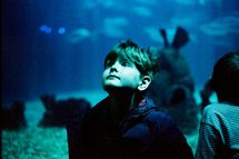 a boy at an aquarium 