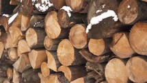 Wood prepared for winter heating season, firewood background
