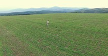 man walking across a green field 