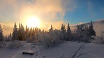 Sunrise over snowy forest in cold winter alpine mountains.
