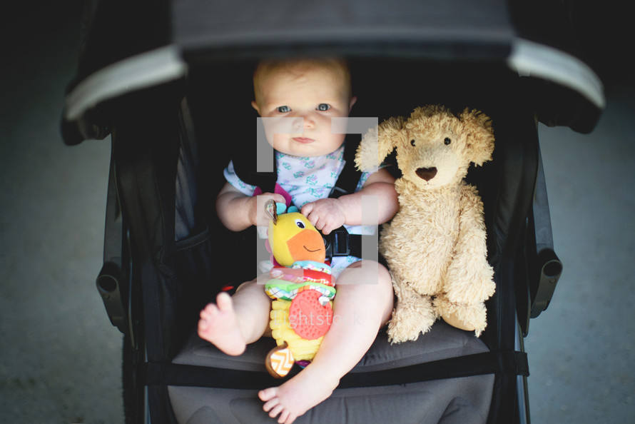 an infant and teddy bear in a stroller 