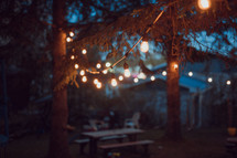 glowing string of light bulbs outdoors 