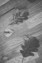 oak leaves on a wood background 