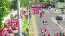 charity walk for breast cancer 