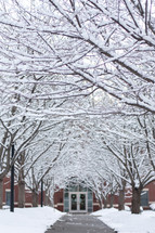Pathway with snow covered trees leading to a churches doors
