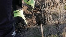 A Gloved Hand Digging Into the Soil - Close Up	