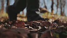 walking through fall leaves in a forest 