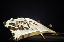 Coins on Bible