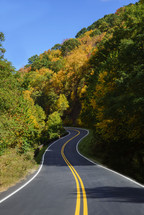 a winding highway and fall trees 