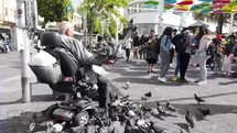 Pigeons surrounding man on electric scooter