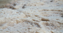 Close up of salt deposits on the banks of the Dead Sea in Israel. 