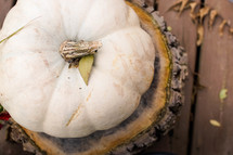 a white pumpkin on a tree stump 
