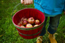 apple picking 