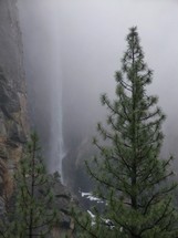 Yosemite National Forest waterfall cascades down the side of a cliff surrounded by tall pine trees on a grey winter morning in Central California. 