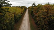 aerial view over a fall forest and dirt road 