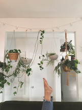 feet in the air and hanging plants 