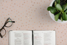 reading glasses, open Bible, and potted plant on a desk 