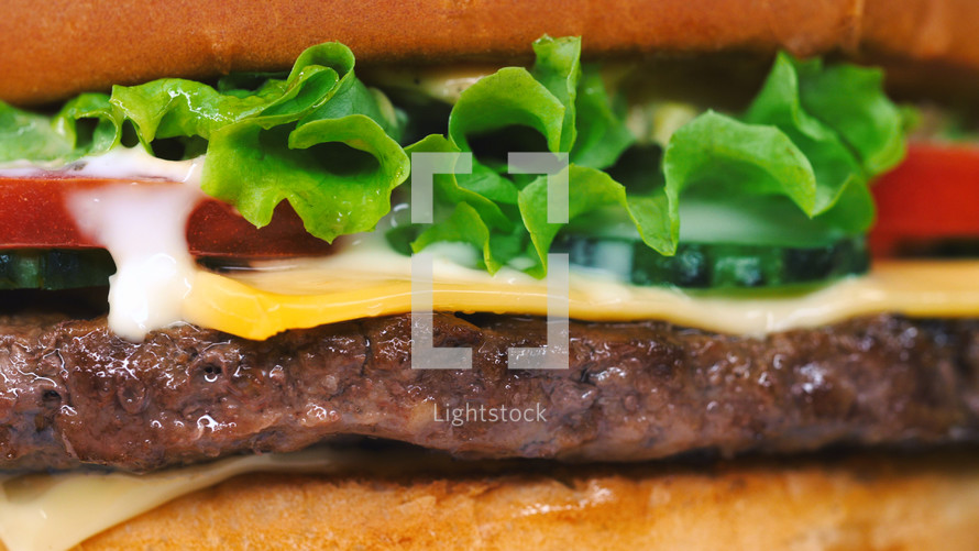 Macro detailed view of juicy beef burger layers. Cutlet, pickle, melted cheese, lettuce, sauce and topped sesame seeds. Junk fast food concept.