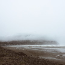 fog over a shore 
