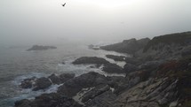 Bird Flying over Misty Coastline of Carmel By The Sea and Big Sur - a Rugged Stretch of California Central Coast known for Winding Roads and Seaside Cliffs